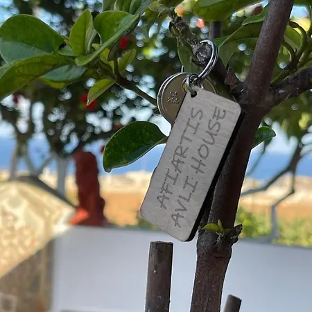 Avli House Casa de Férias *